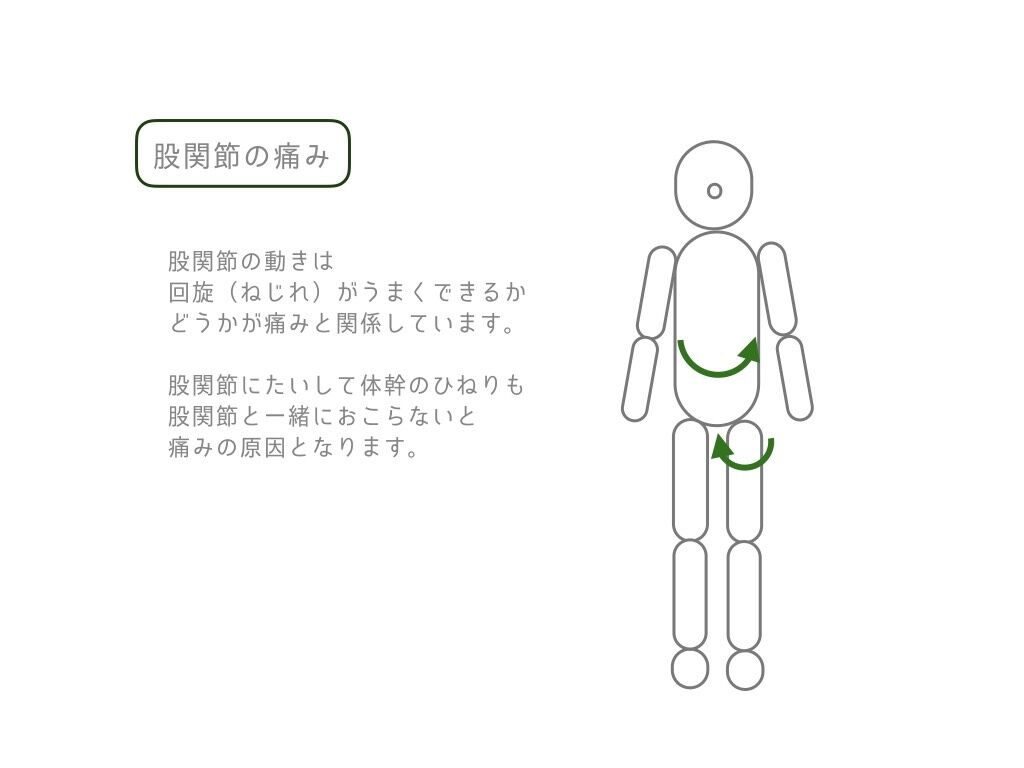 S__66166814