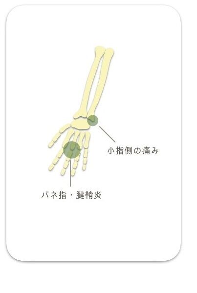 S__66109449 - コピー